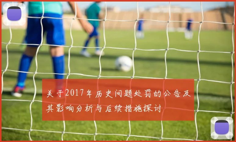 关于2017年历史问题处罚的公告及其影响分析与后续措施探讨